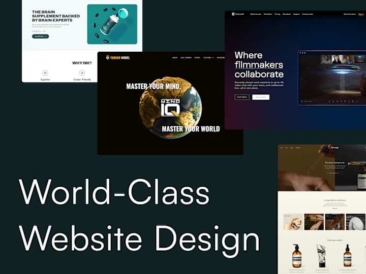 Cover image for World-Class Website Design