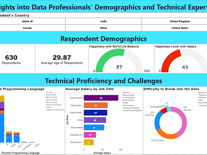 Cover image for Insights-into-the-Data-Professionals-Demographical-and-Expertis…