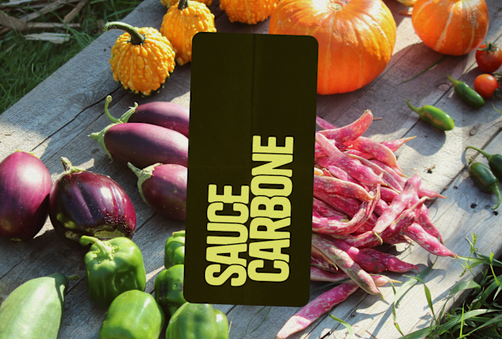 Cover image for Brand & Website design & development | Sauce Carbone