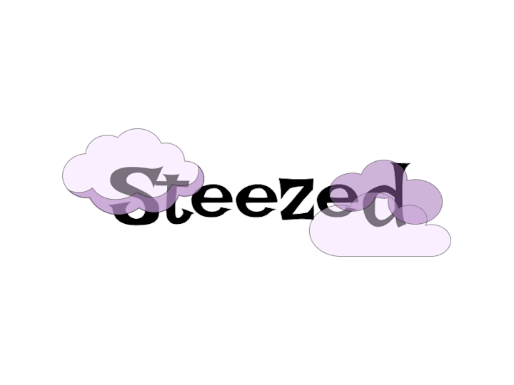 Cover image for STEEZED