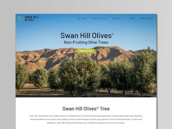 Cover image for Olive Tree Nursery Website Design | Swan Hill Olives