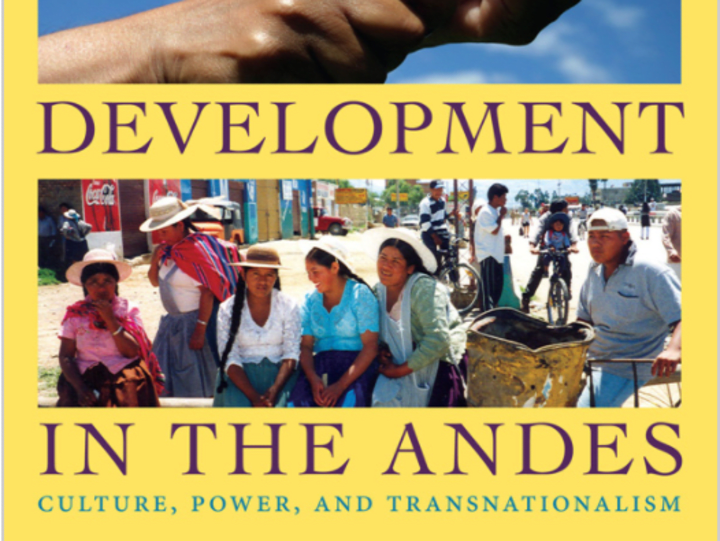 Cover image for Indigenous Development in the Andes