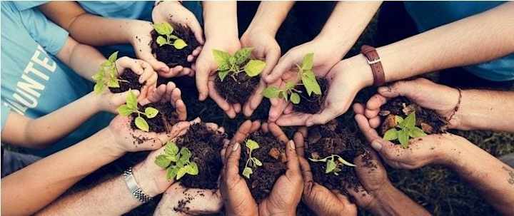 Cover image for Inspiring Millennials Through Sustainability