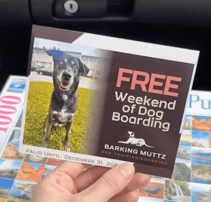 Cover image for Custom Gift Certificates for Barking Muttz