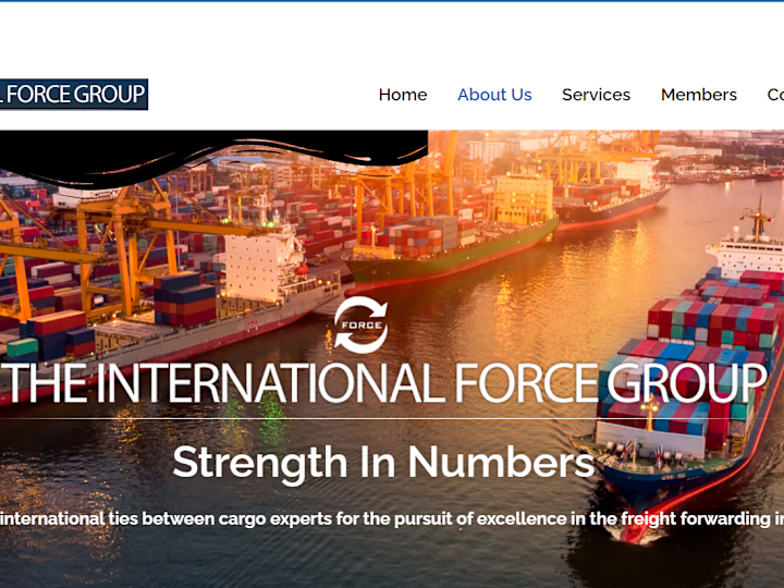 Cover image for THE INTERNATIONAL FORCE GROUP