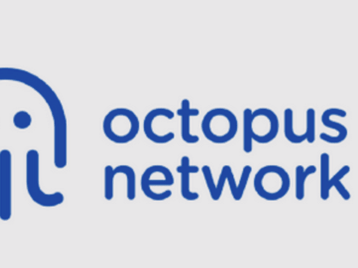 Cover image for A Layer 1 Leverage Trade (without Leverage): Octopus Network