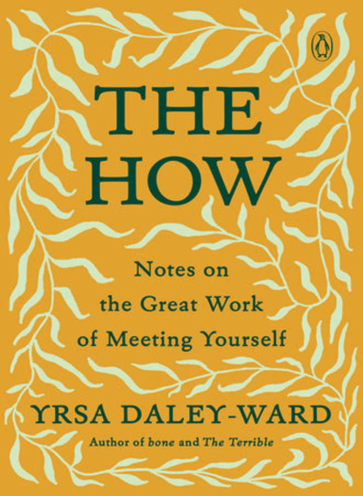 Cover image for The How (Penguin Books)