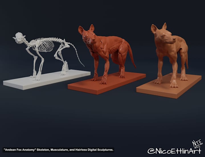Cover image for 3D Sculptures Portfolio