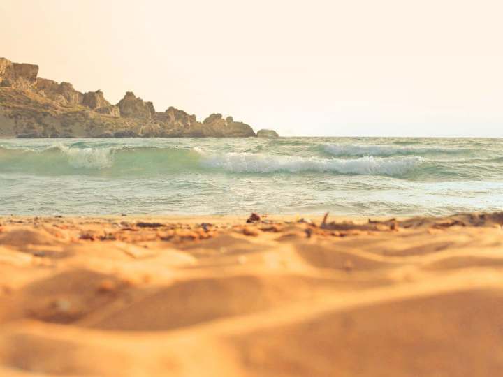 Cover image for Clearing 2 humans from beach