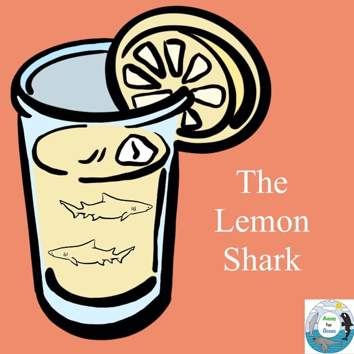 Cover image for Lemon Shark Social Media Post