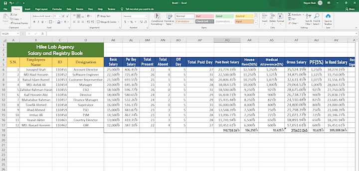 Cover image for Salary Sheet Data Entry