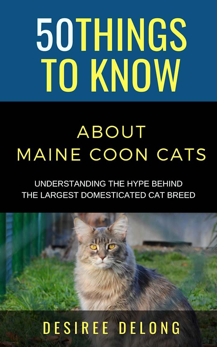 Cover image for 50 Things to Know About Maine Coons Cats