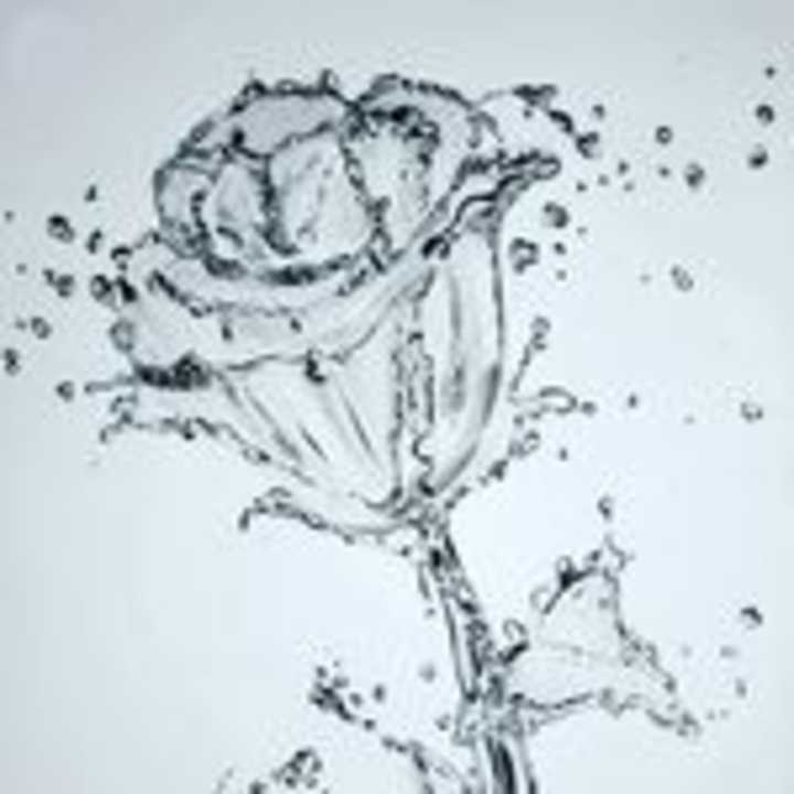 Cover image for Avant Garde (@avant_garde_rosette) • Instagram photos and videos