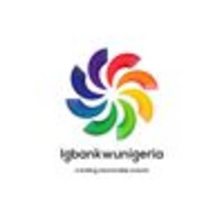 Cover image for @igbankwunigeria • Instagram Page Management