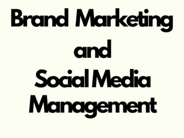 Cover image for Brand marketing and Social Media Management 