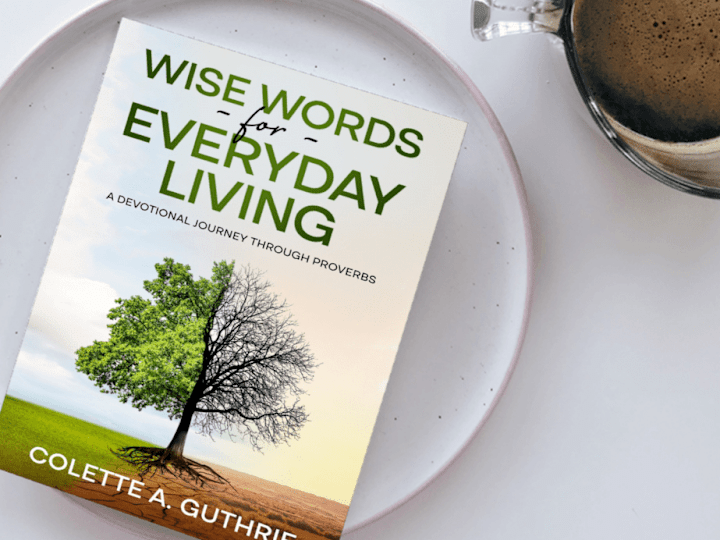 Cover image for A WORD TO THE WISE IS SUFFICIENT...