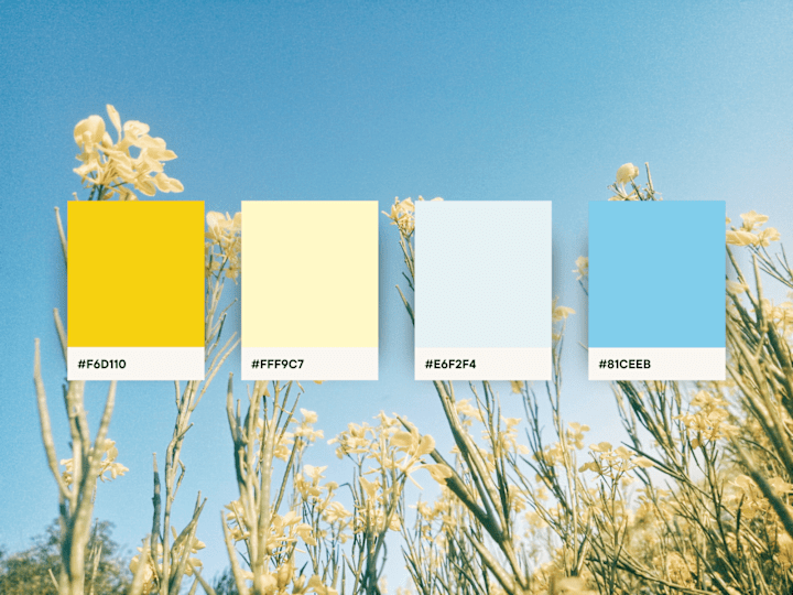 Cover image for Sunlit Serenity Color Palette Design