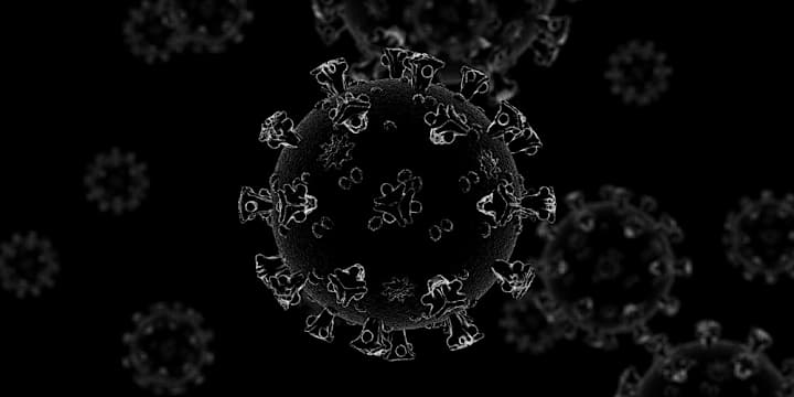 Cover image for Endurance