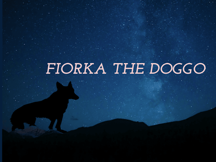 Cover image for Fiorka the Doggo