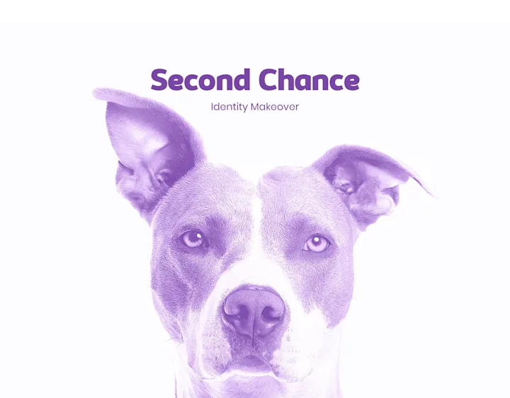 Cover image for Pet Rescue Rebrand