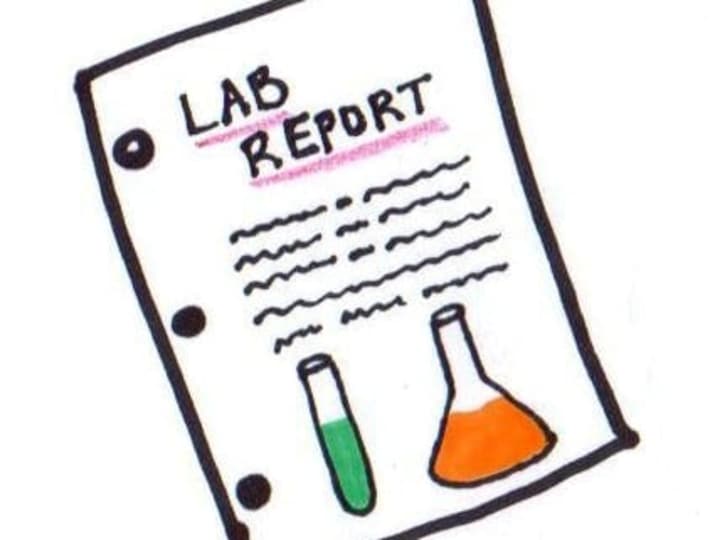Cover image for Reports/Summaries/Journals for College Courses