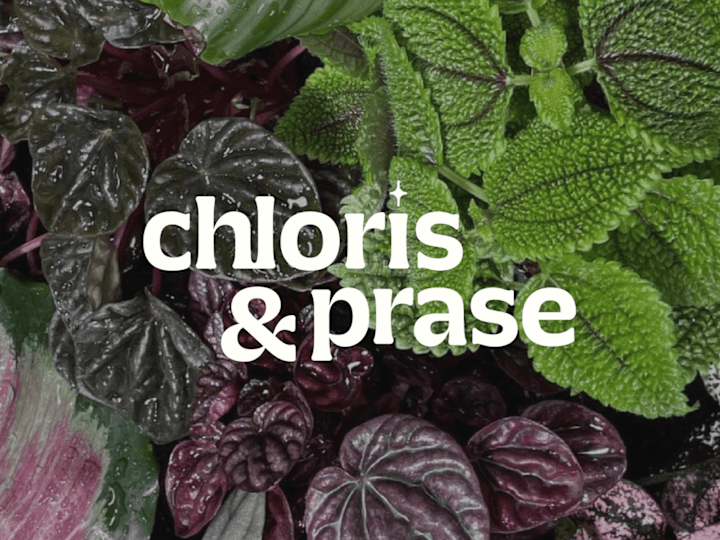 Cover image for Chloris & Prase