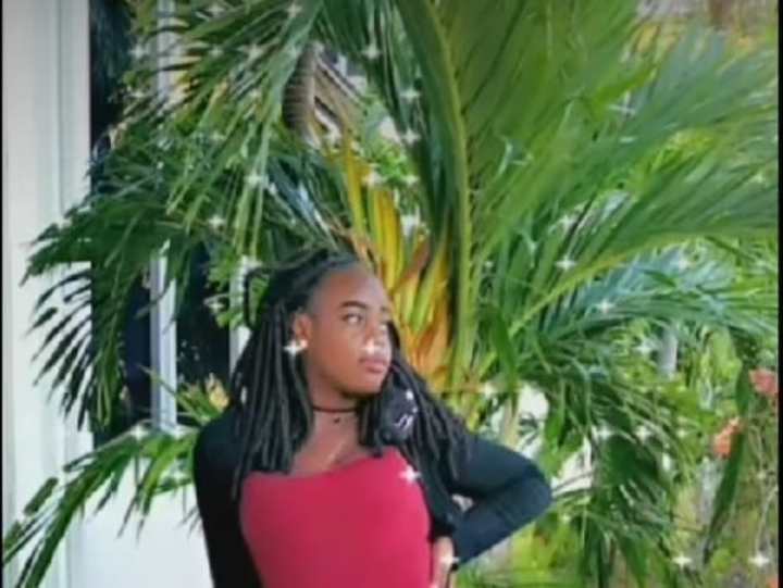 Cover image for Stuck in a tree; Stay in my lane 💚🌴