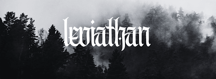 Cover image for Leviathan Clothing Brand