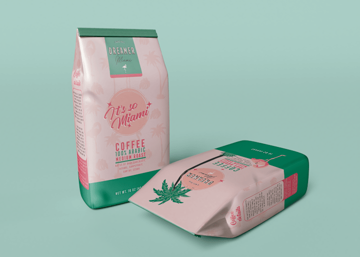 Cover image for Dreamer Miami