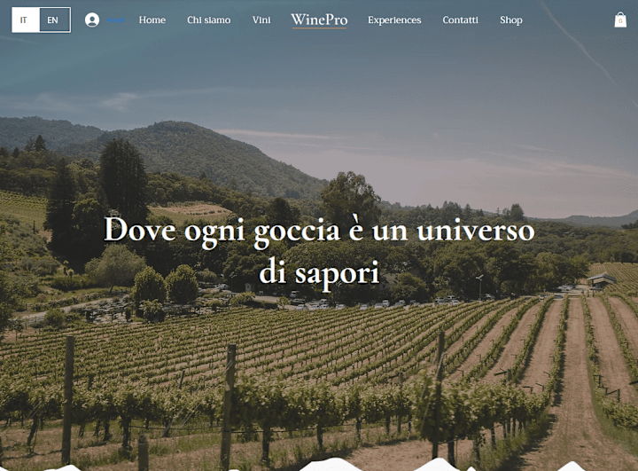 Cover image for Elegant Web Design for Wineries: Stories and Sales - Wix Studio