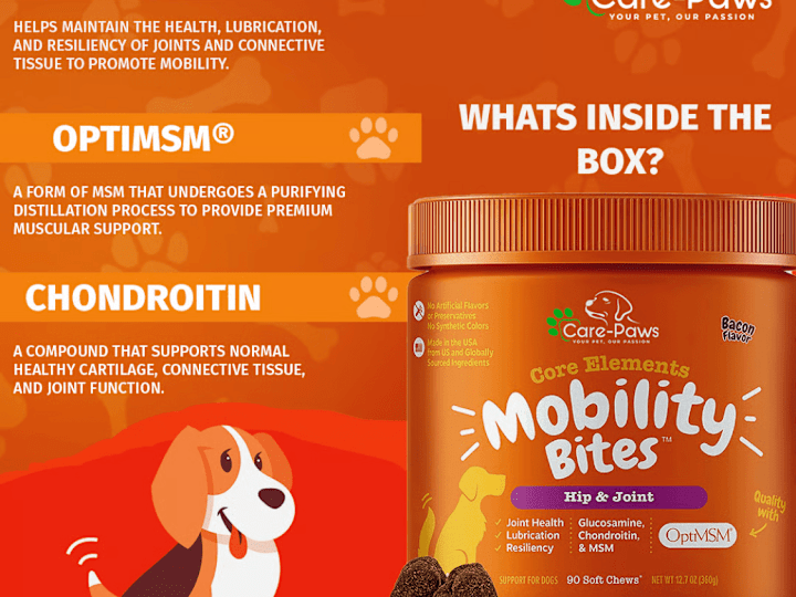 Cover image for Social Media Marketing  for Care Paws