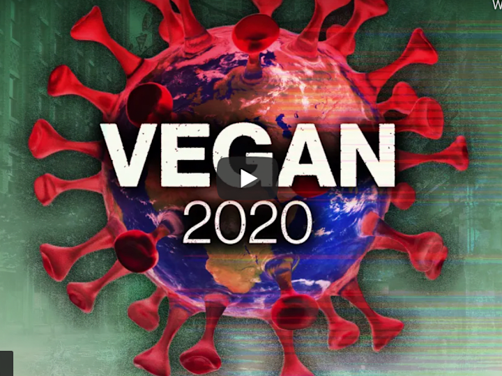 Cover image for Plant Based News YouTube Videos