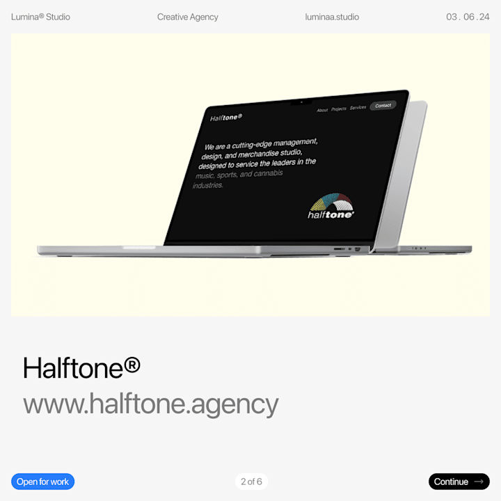 Cover image for Halftone® Experience Design