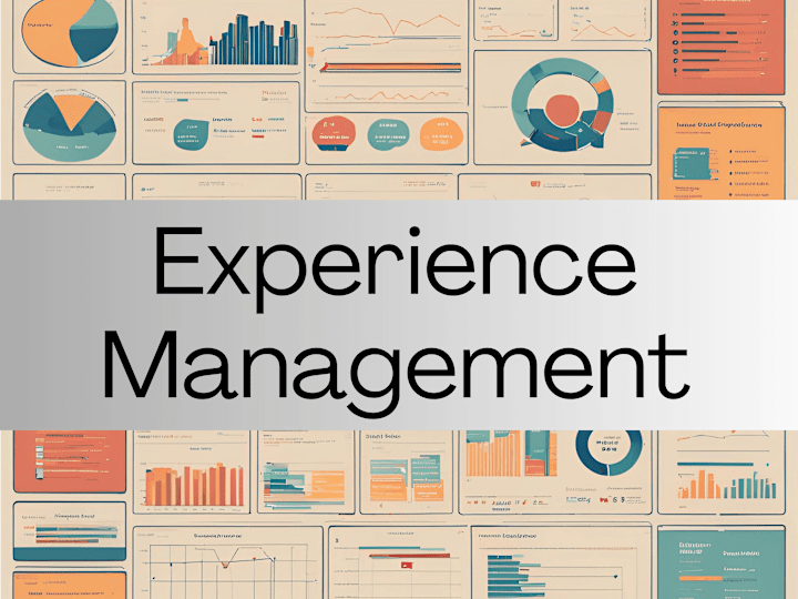 Cover image for Experience Management