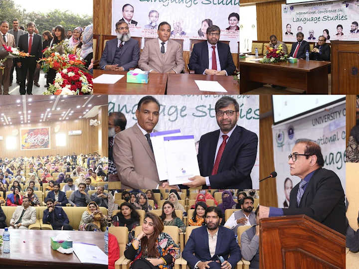 Cover image for University of Okara