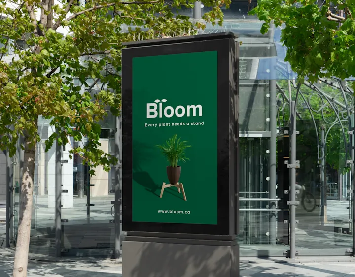 Cover image for Bloom