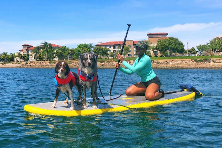 Cover image for Dog Athletes of the Month: Kahlua & Whiskey Advance