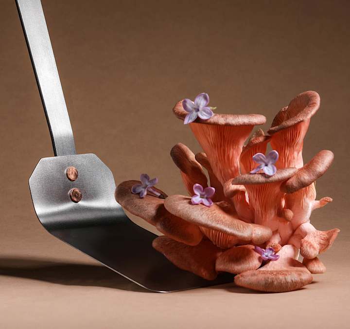 Cover image for Creative Direction & Photography for Eatingtools
