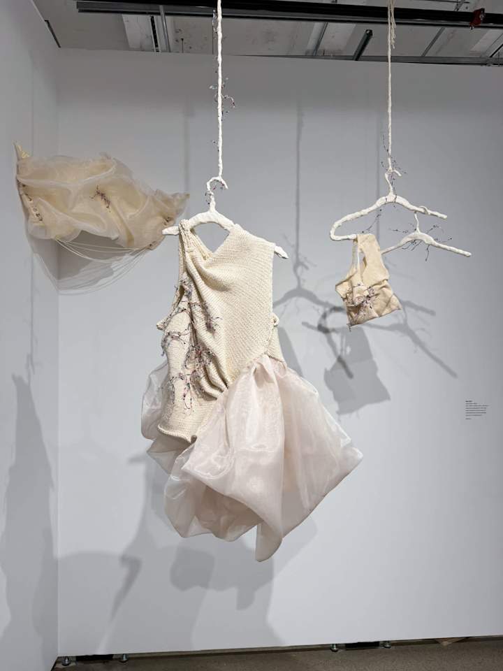 Cover image for Adornment