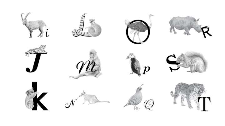 Cover image for Alphabet Animals