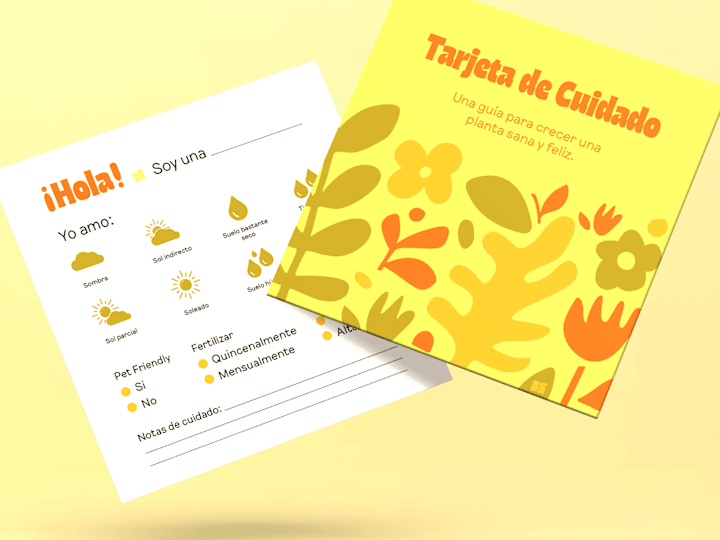 Cover image for Get a professional Visual Identity for your brand/business!