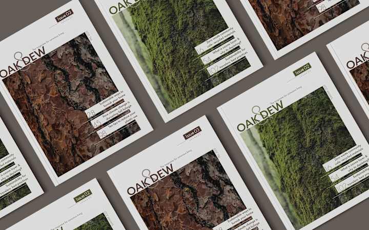 Cover image for Magazine Layout