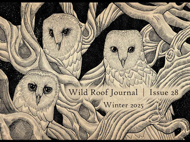 Cover image for Wild Roof Journal: A publication of visual & literary arts