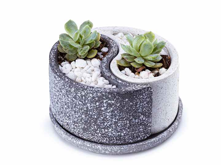 Cover image for Yin Yang design/mold/planter