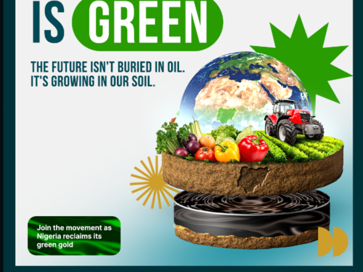 Cover image for The Nigeria Food Summit Official (@thenigeriafoodsummitofficial…