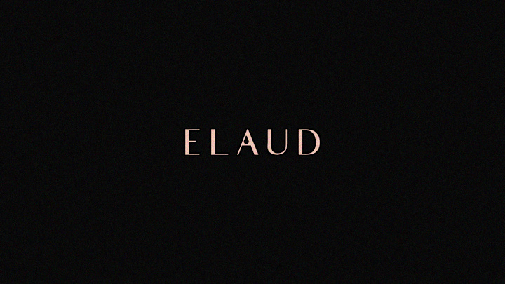 Cover image for Beauty Brand Style Guide (ELAUD)