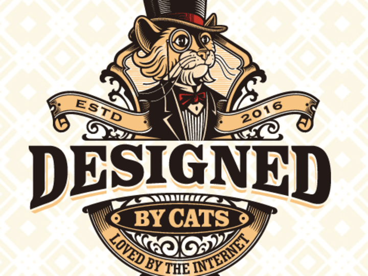 Cover image for Cool Cats Co: How Small Changes Led to Big Results