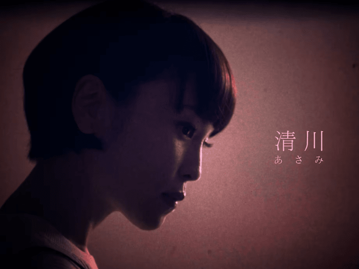 Cover image for 美女採集 - 清川あさみ | Bijosaishu - Kiyokawa Asami