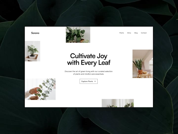 Cover image for ✦ Framer Website (Design + Development)