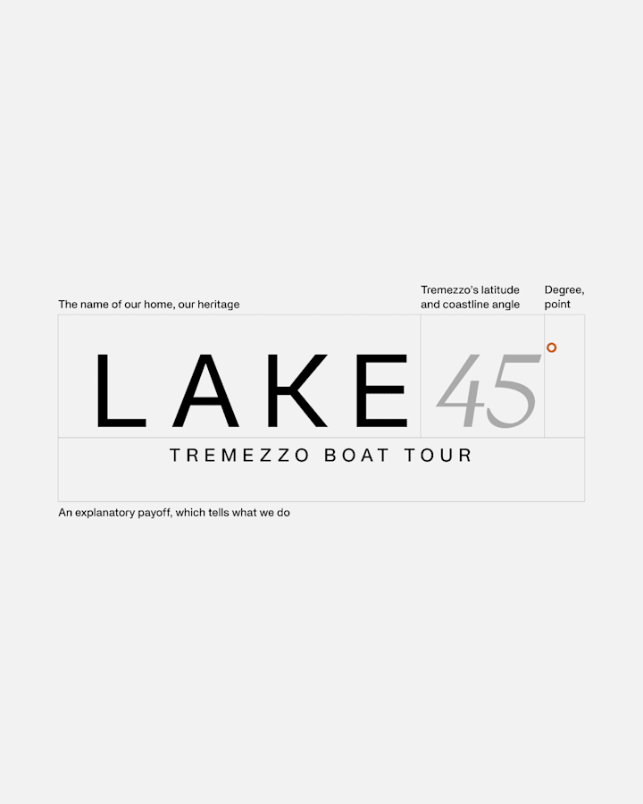 Cover image for Lake45